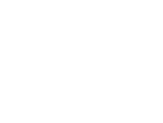 Ayzu Digital